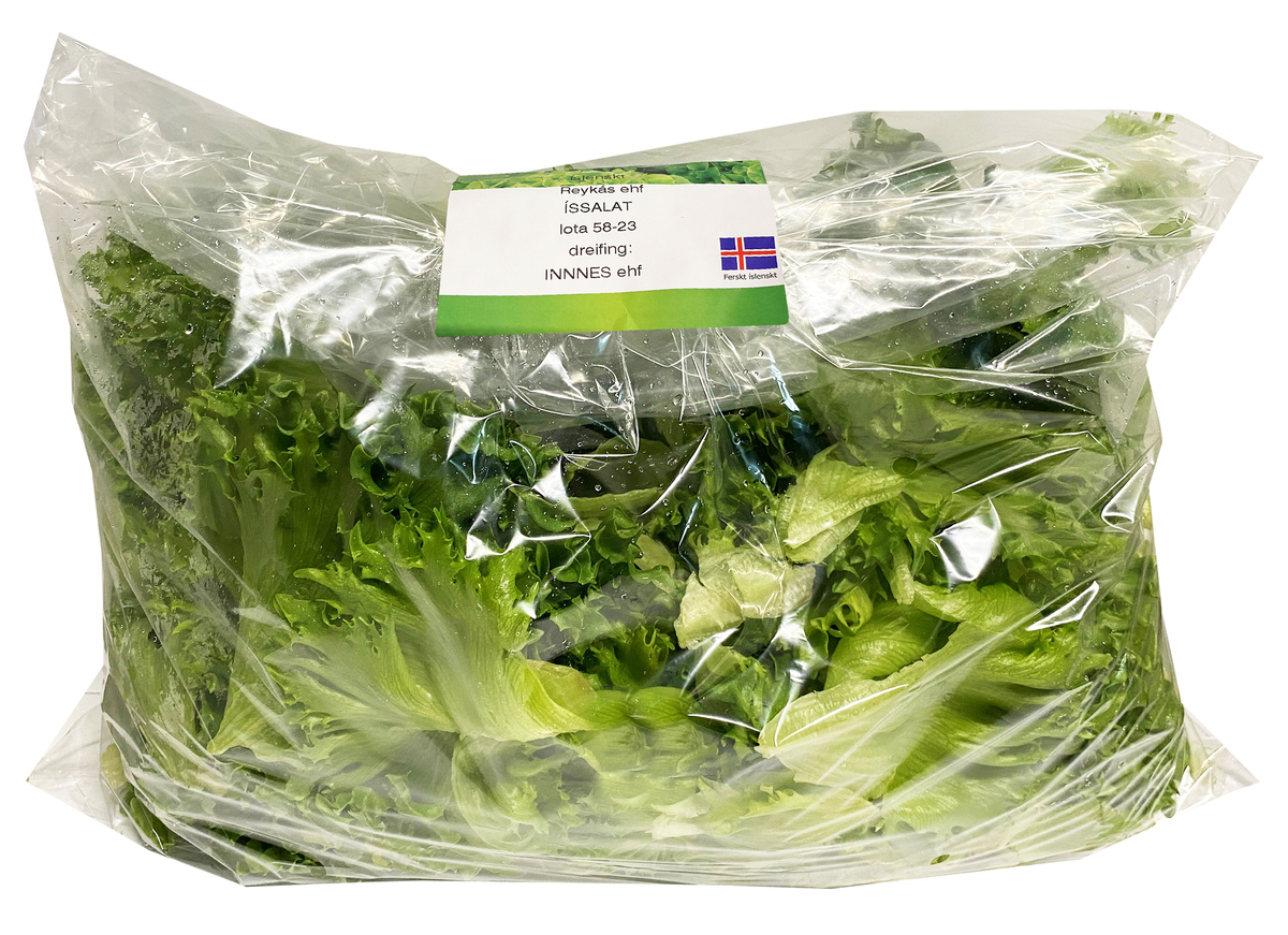 Reykás Íssalat 3x1kg/ks