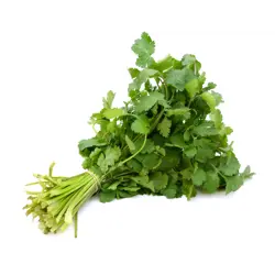 Koriander 1kg erl. (FL)