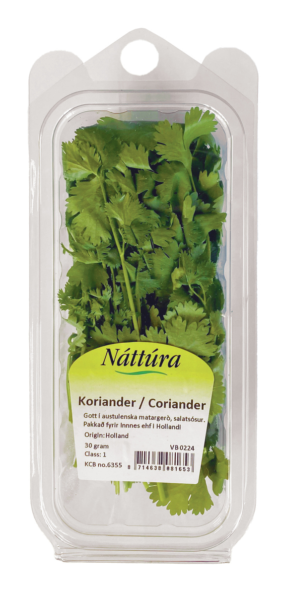 Náttúra Koriander(cilantro)12x30gr (FL)