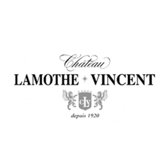 Lamothe Vincent