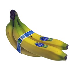 Lífrænir Bananar Chiquita 18,14 kg/ks