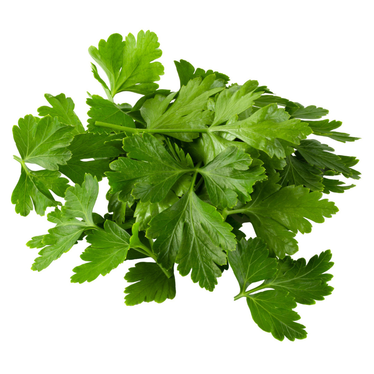 Vaxa Steinselja 6x200g