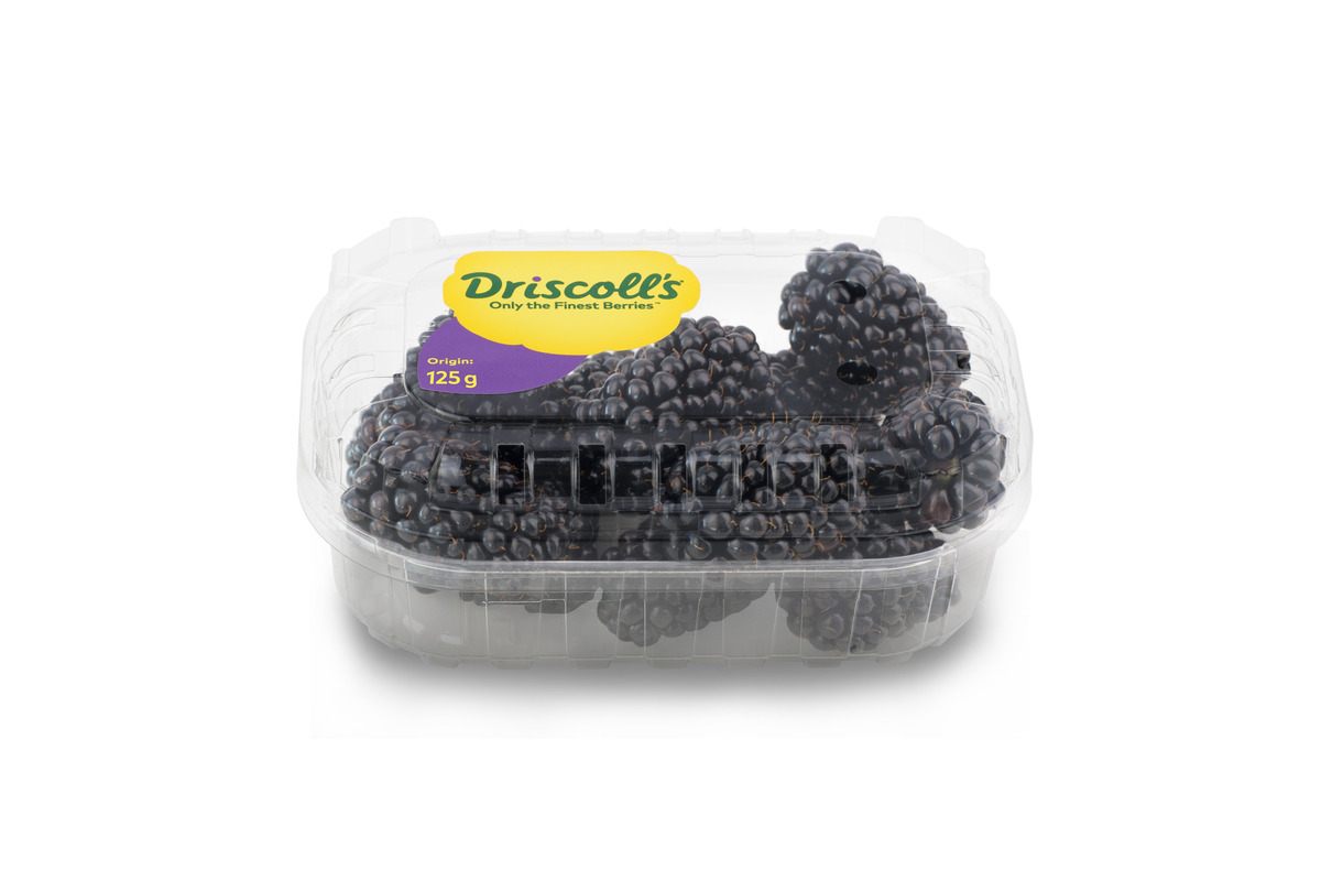 Brómber Driscolls 8x125gr