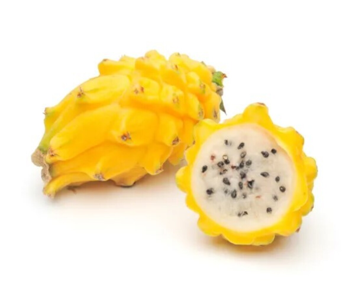 Drekaávöxtur Gulur kg/ks