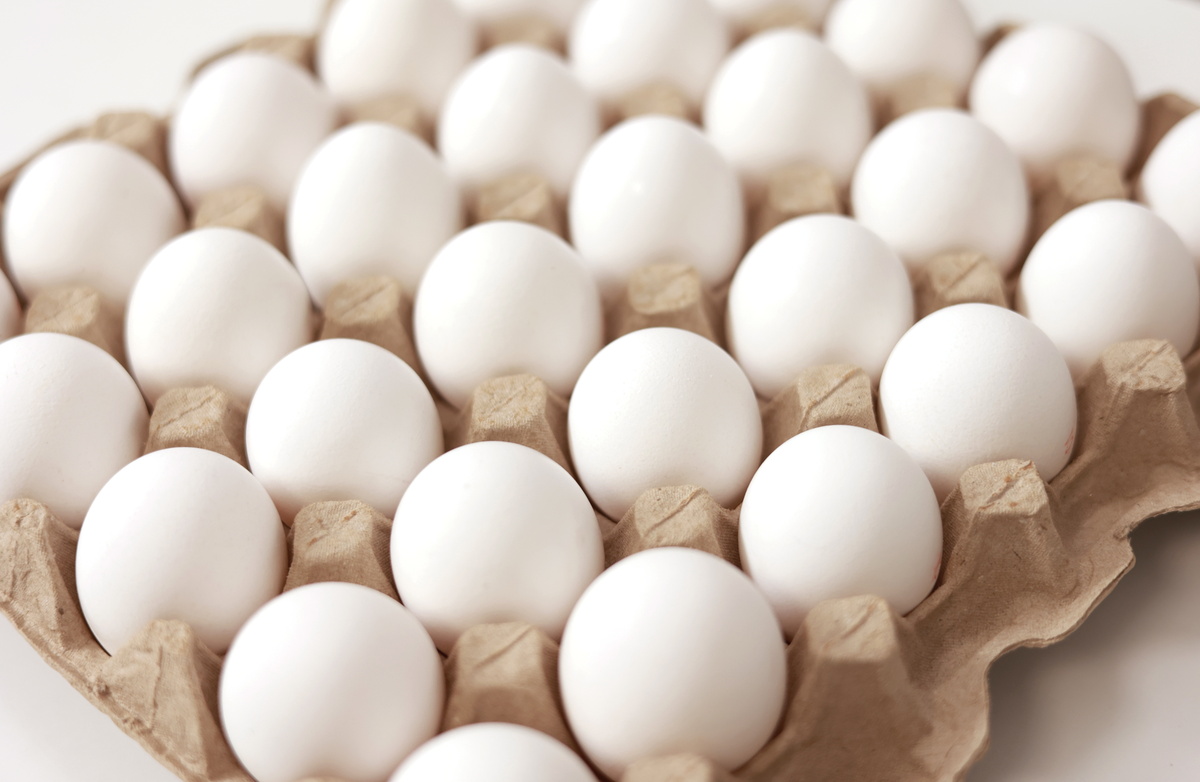 Egg