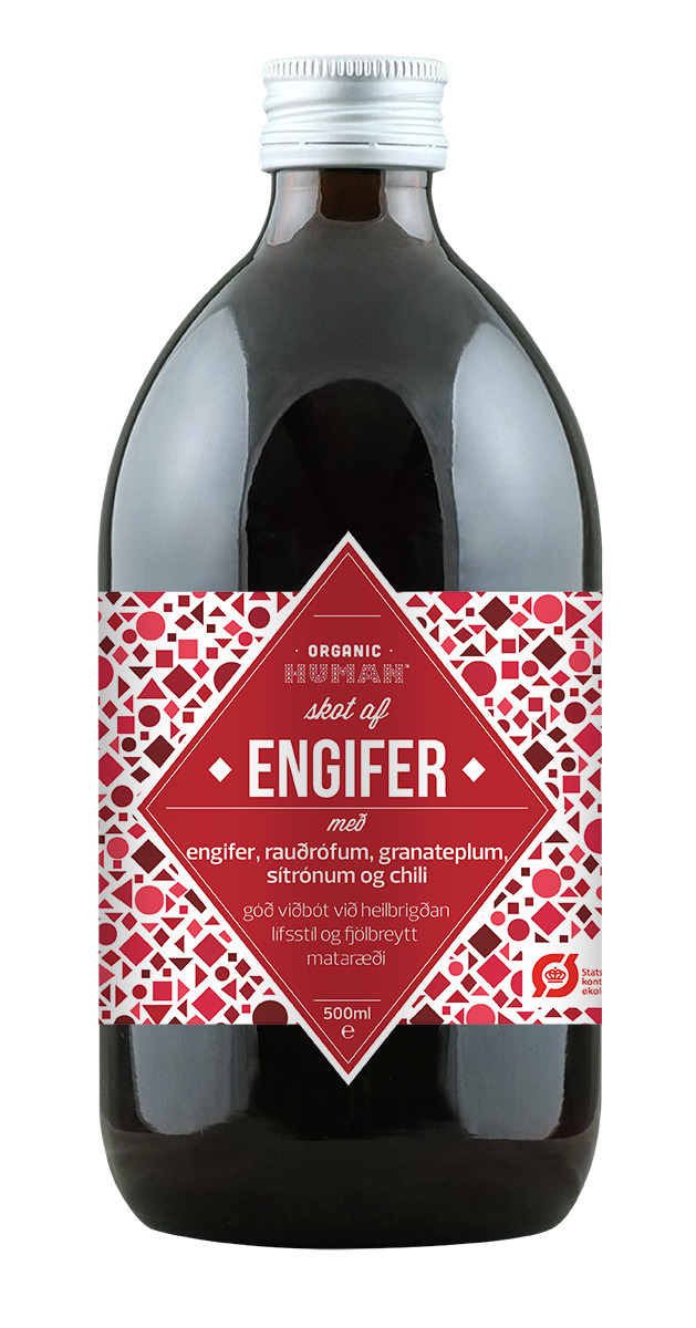 OH Engifer skot 6x500ml
