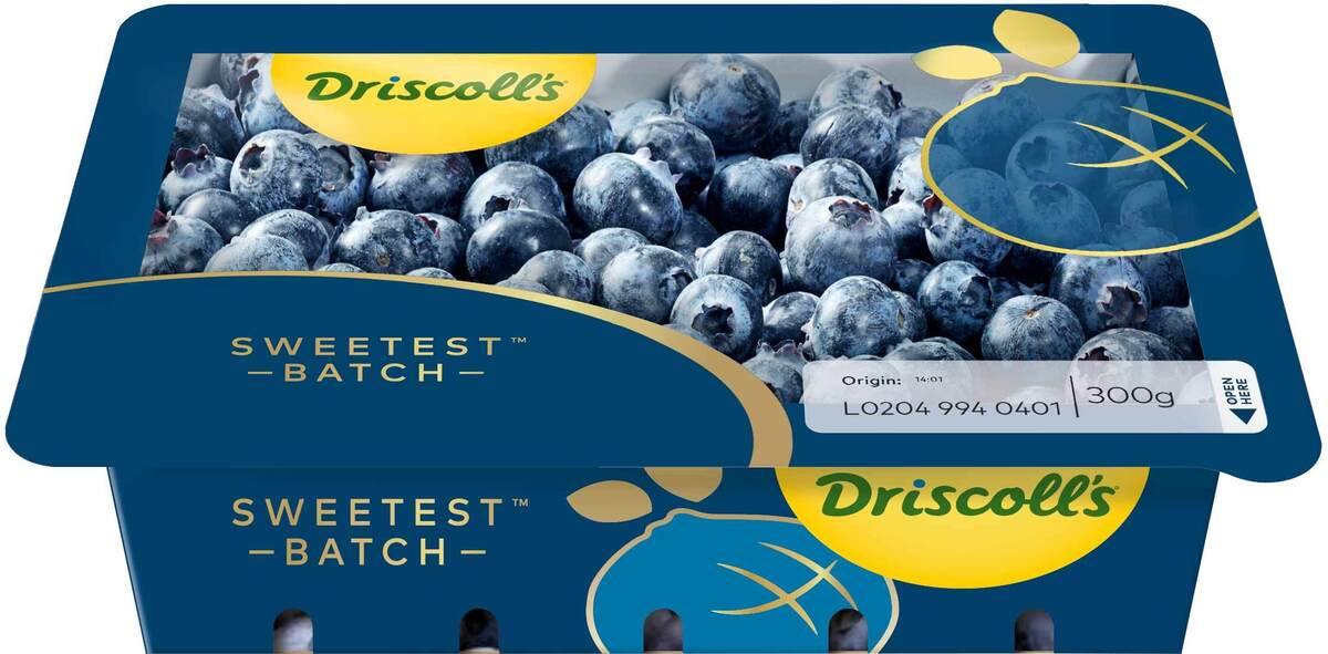 Bláber Driscolls Sweetest Batch 12x300g P (FL)