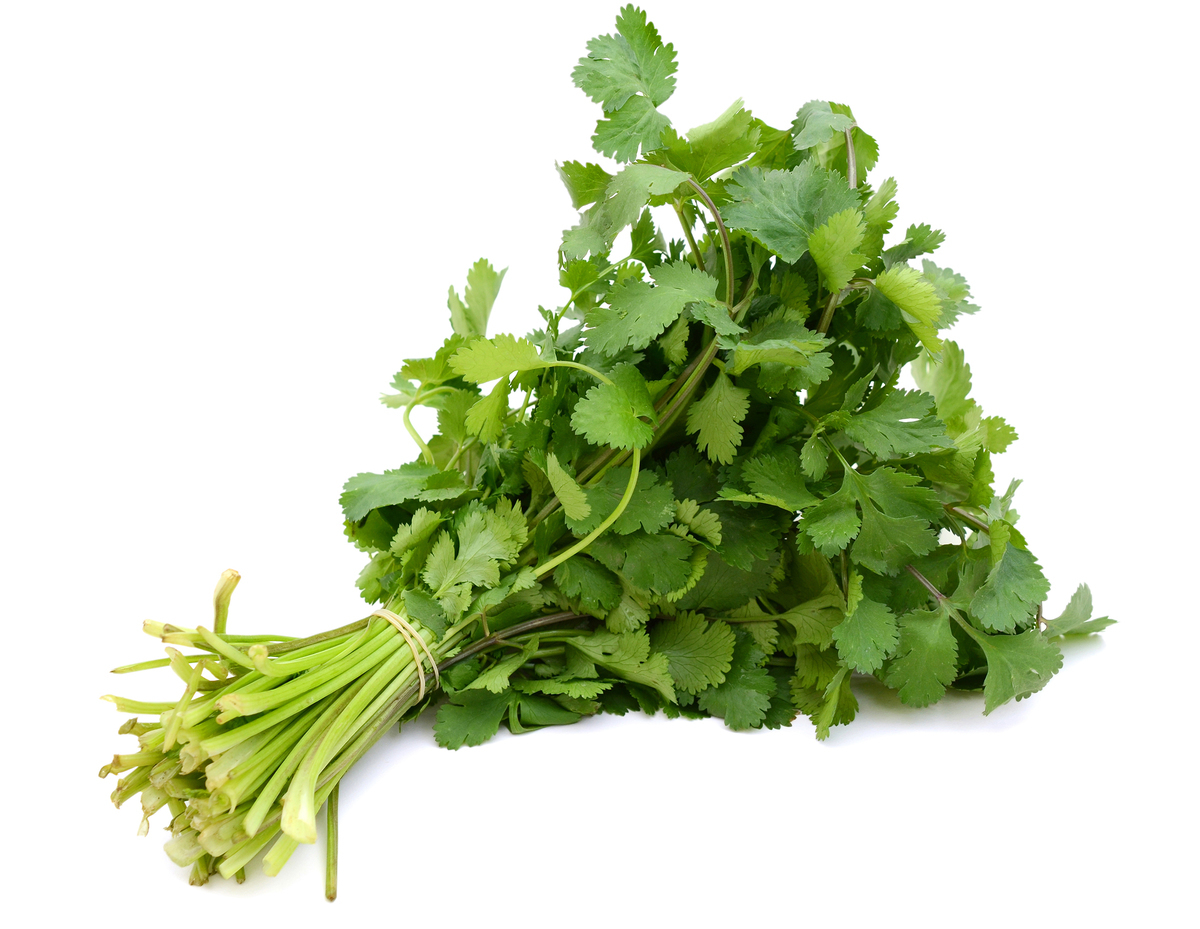 Koriander 1kg erl. (FL)