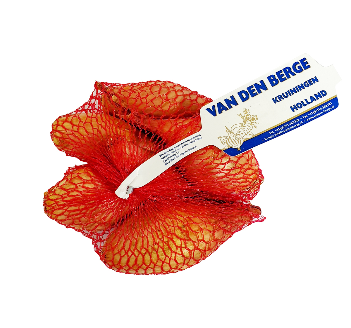 Laukur Shallot 20x250gr