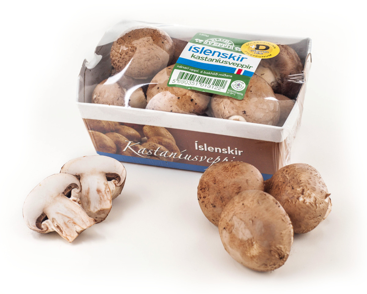 Sveppir Kastaníu 36x150gr SFG