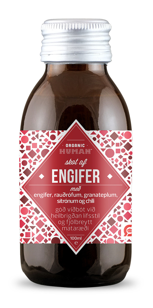 OH Engifer skot 12x90ml