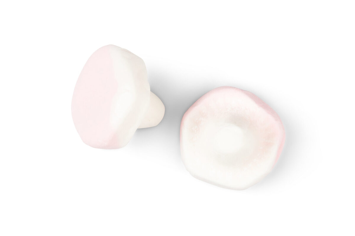 Franssons Skumsvampar 1,0 kg