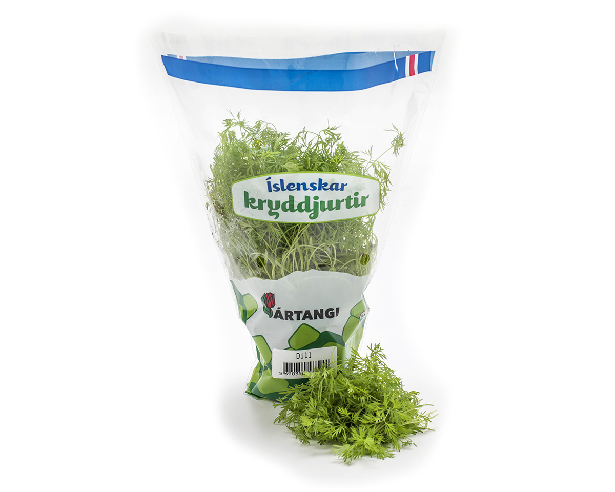 Dill Pottur Ártangi 24x30 gr