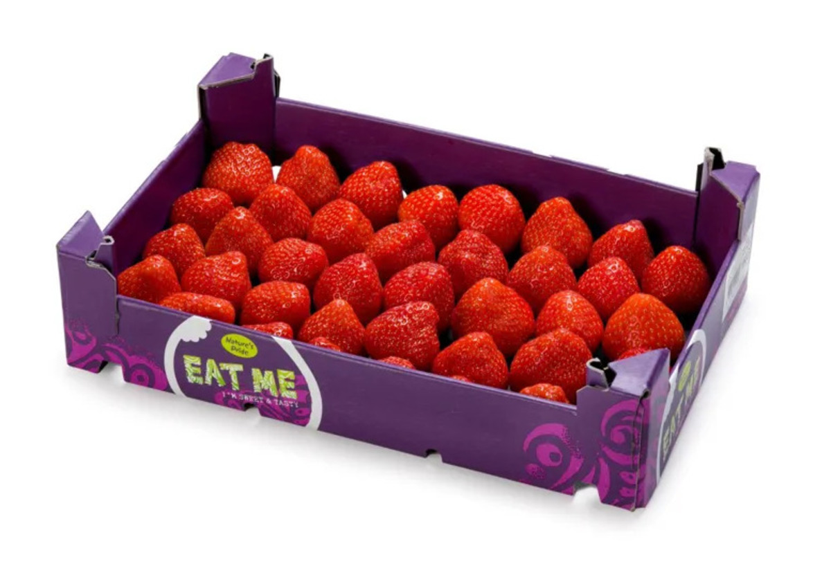 Vínber Rauð 8,2 kg/ks