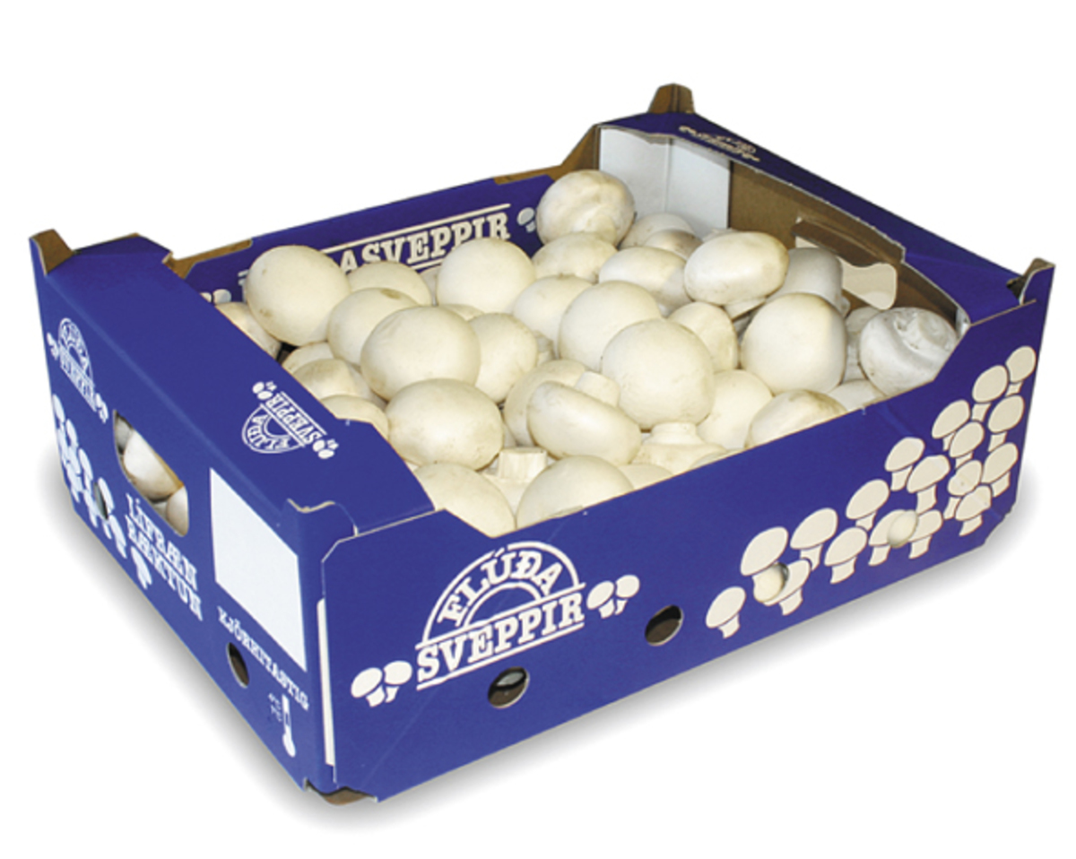 Sveppir Flúða í lausu kg/ks SFG