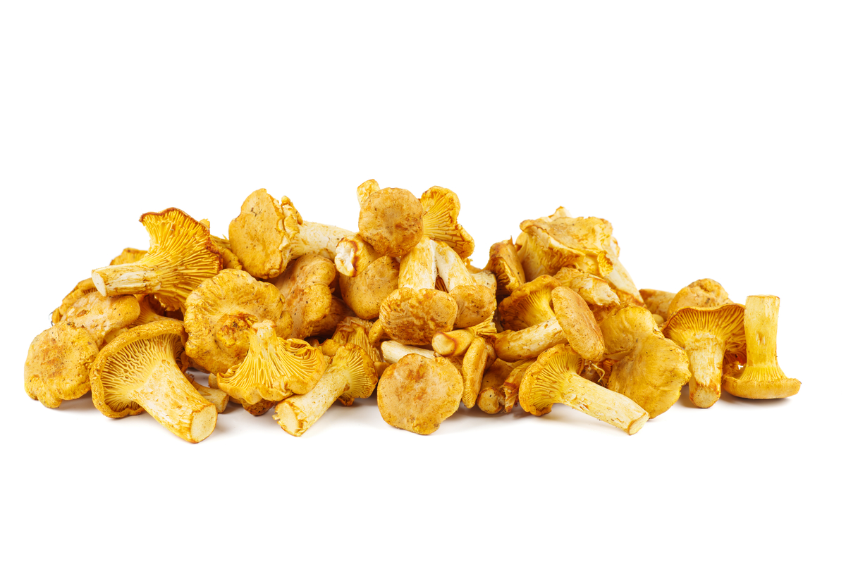 Sveppir Kantarelle 1kg í lausu