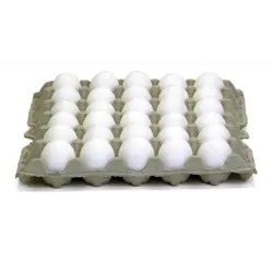 Stjörnuegg Stór Fersk Heil M/Skurn 1x240 stk