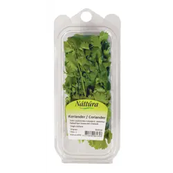 Náttúra Koriander(cilantro)12x30gr (FL)