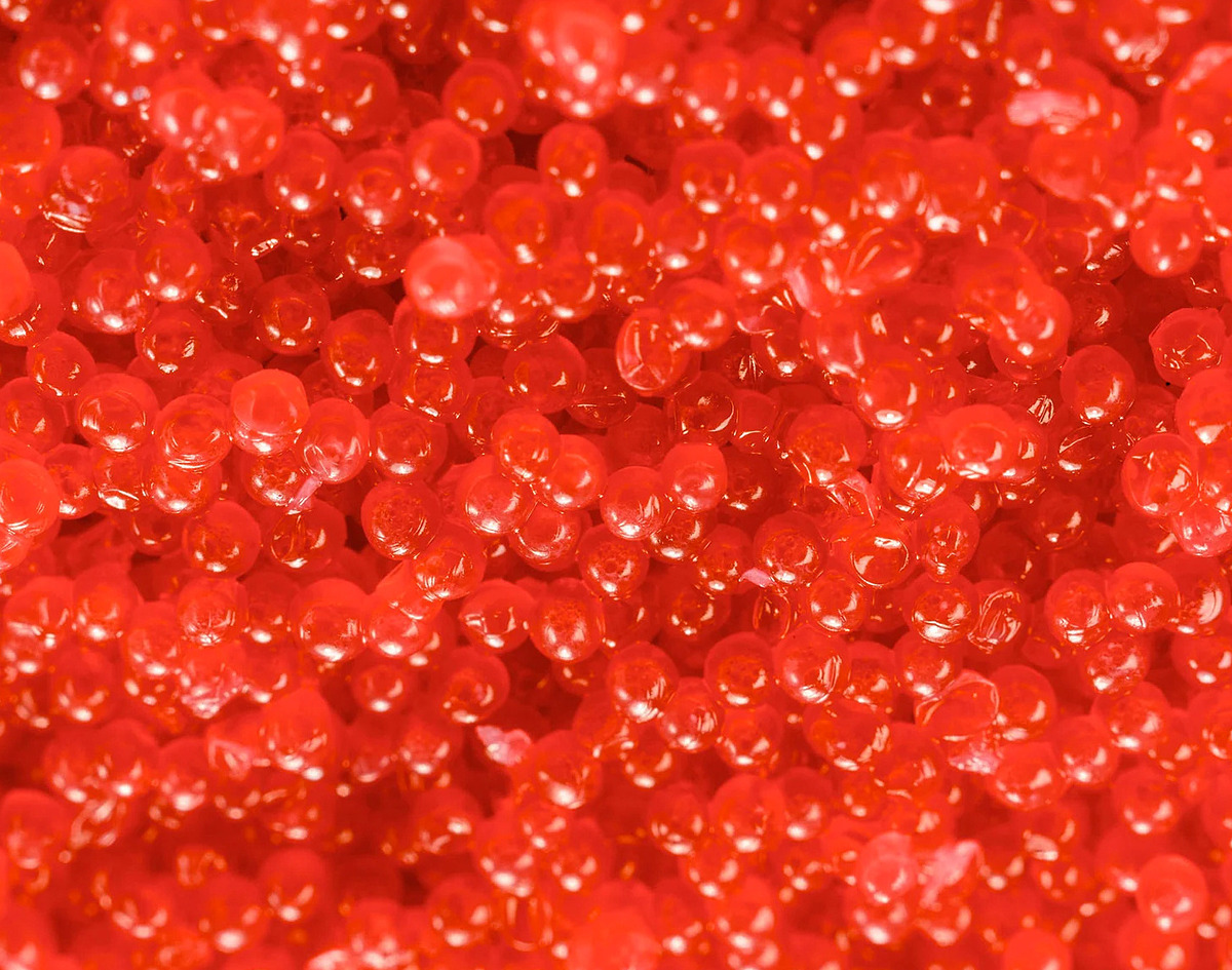 Masago Rautt 12x500gr