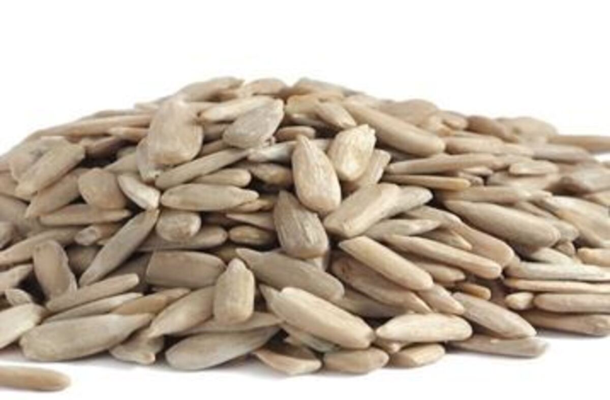 HB Sólblómafræ 10x1kg