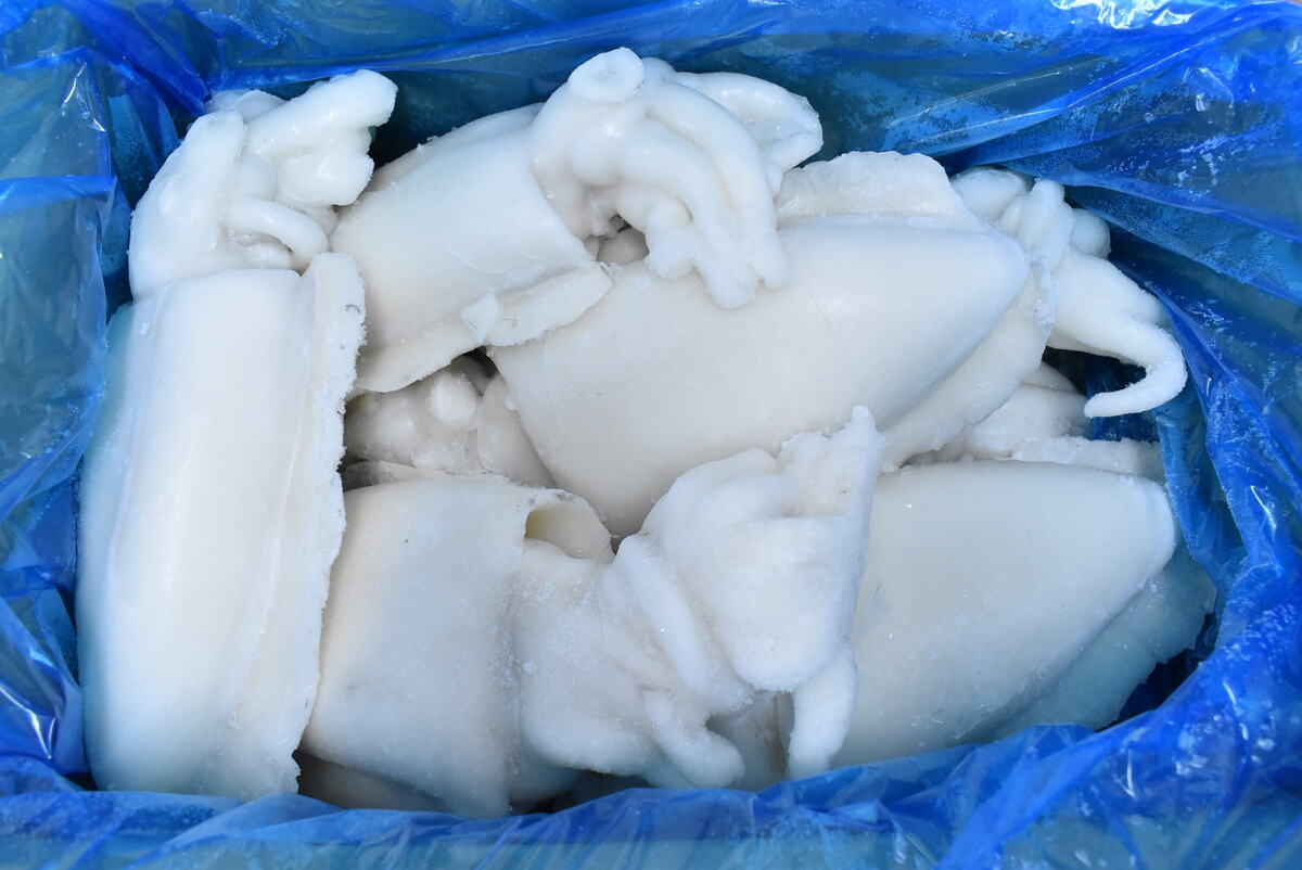 Smokkfiskur Heill U1 10kg