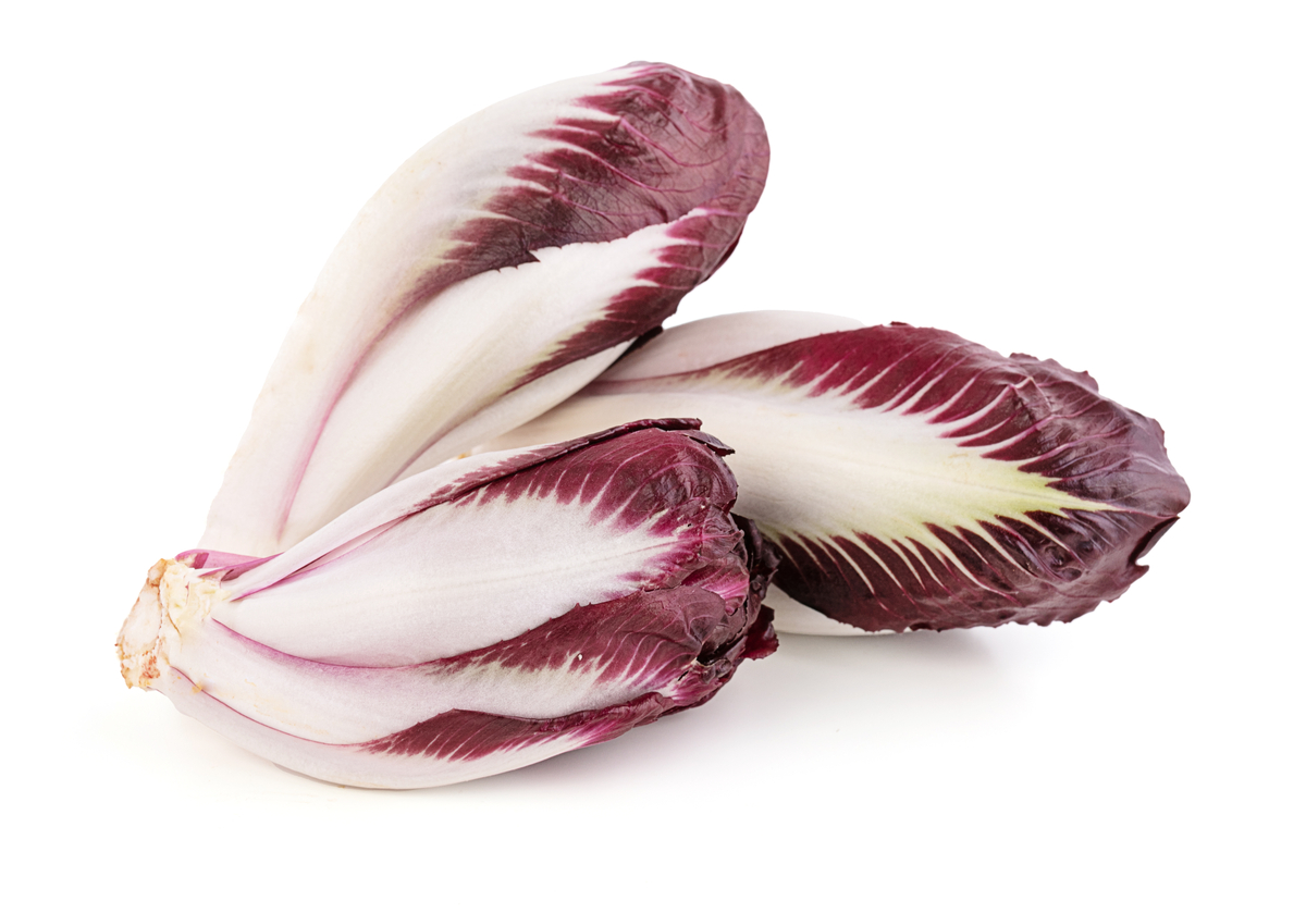 Rautt Endive kg/ks