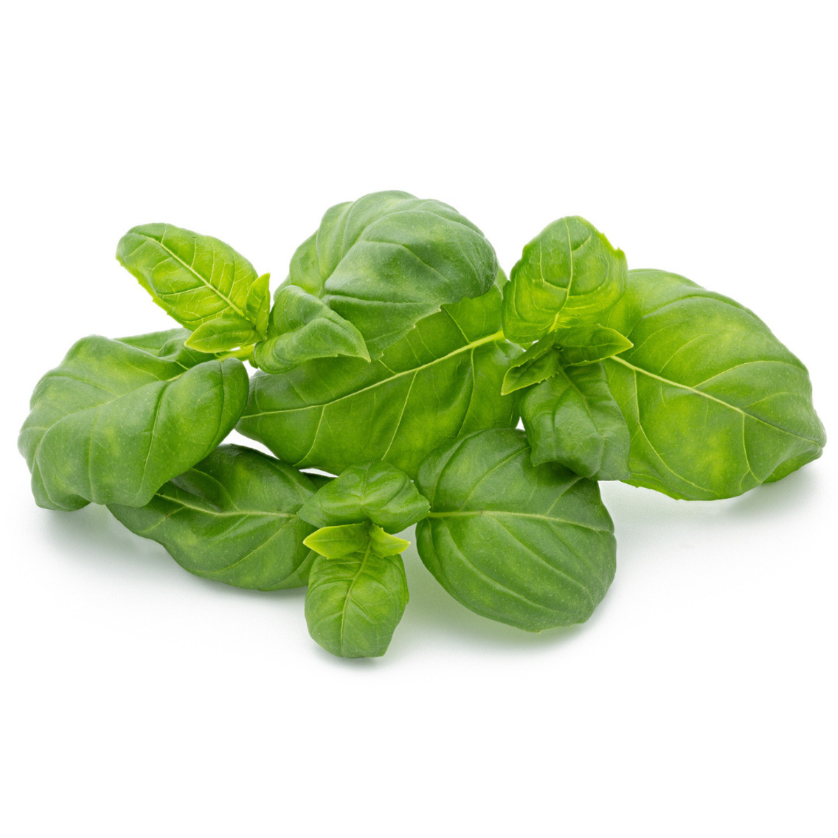 Vaxa Basilíka 6x200g