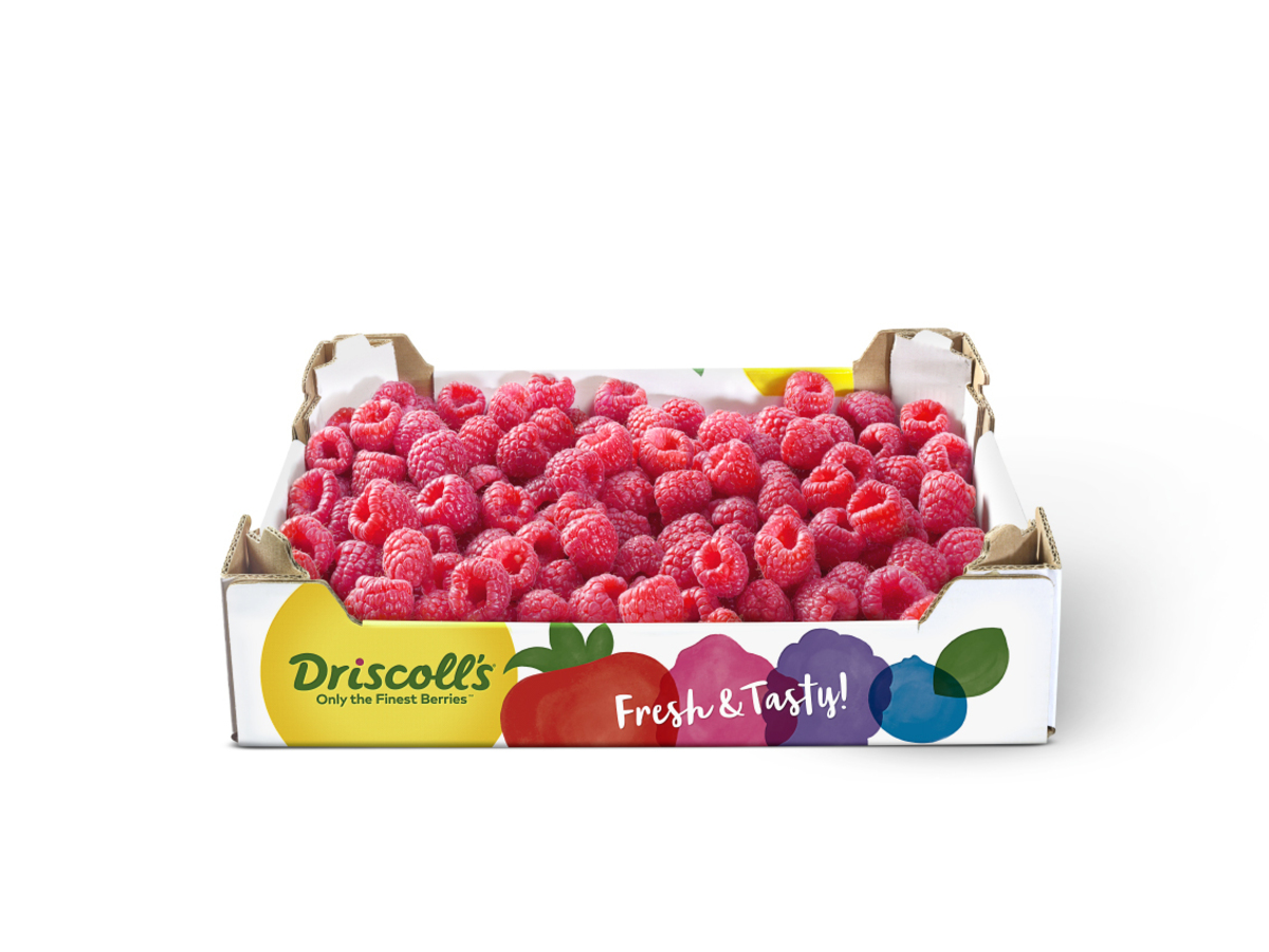 Hindber Driscolls 1000 gr (FL)