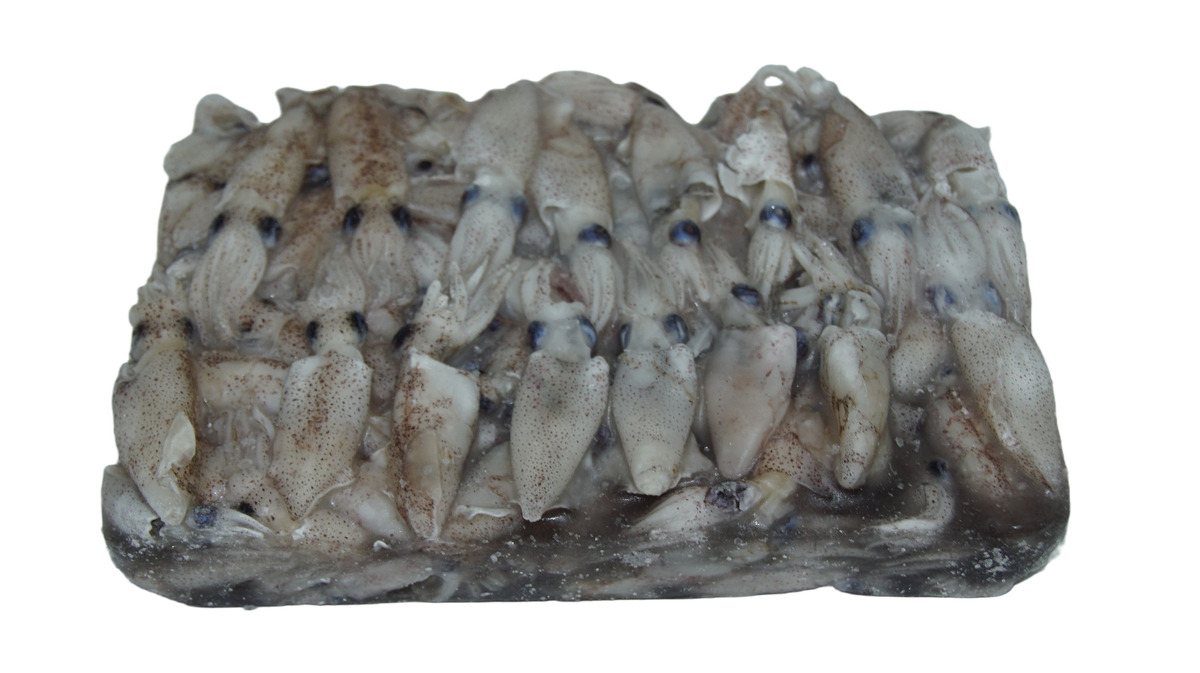 Smokkfiskur 3-5stk Spinno 10x900g