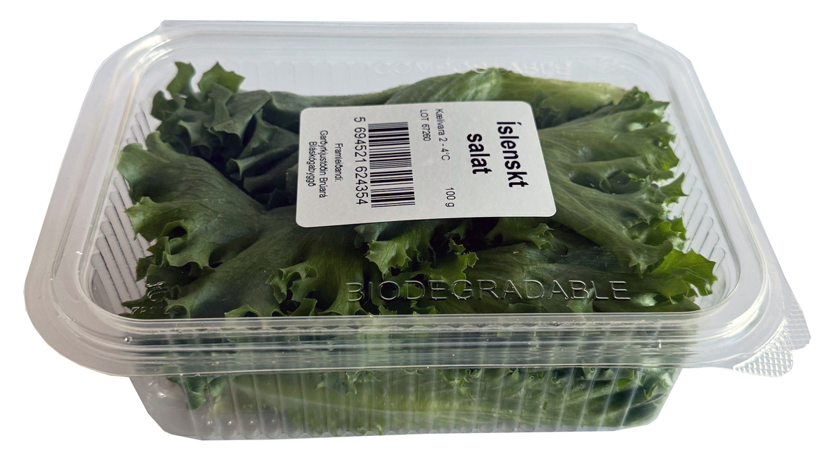 Salat Brúará 16x100gr