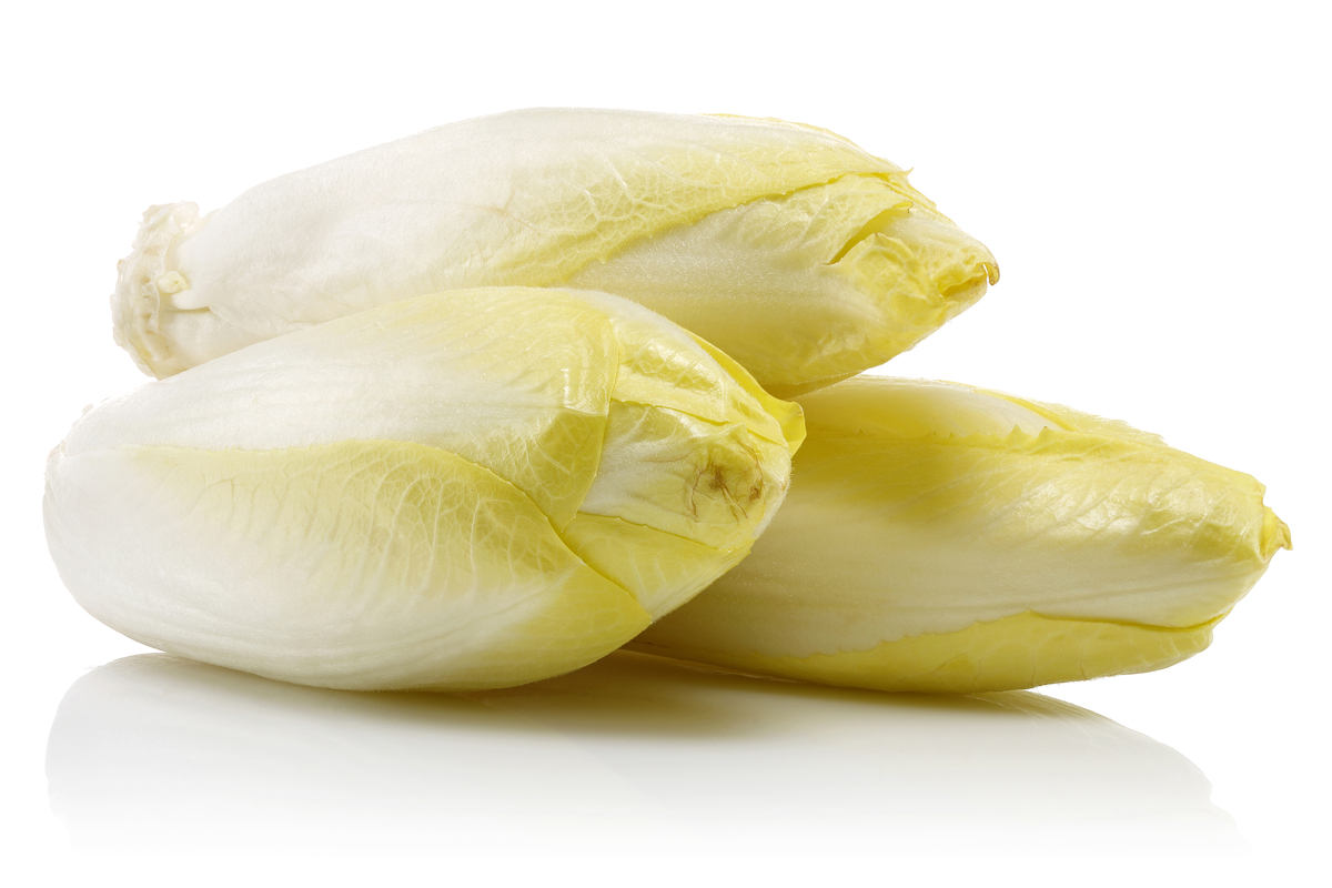 Gult Endive 5 kg/ks