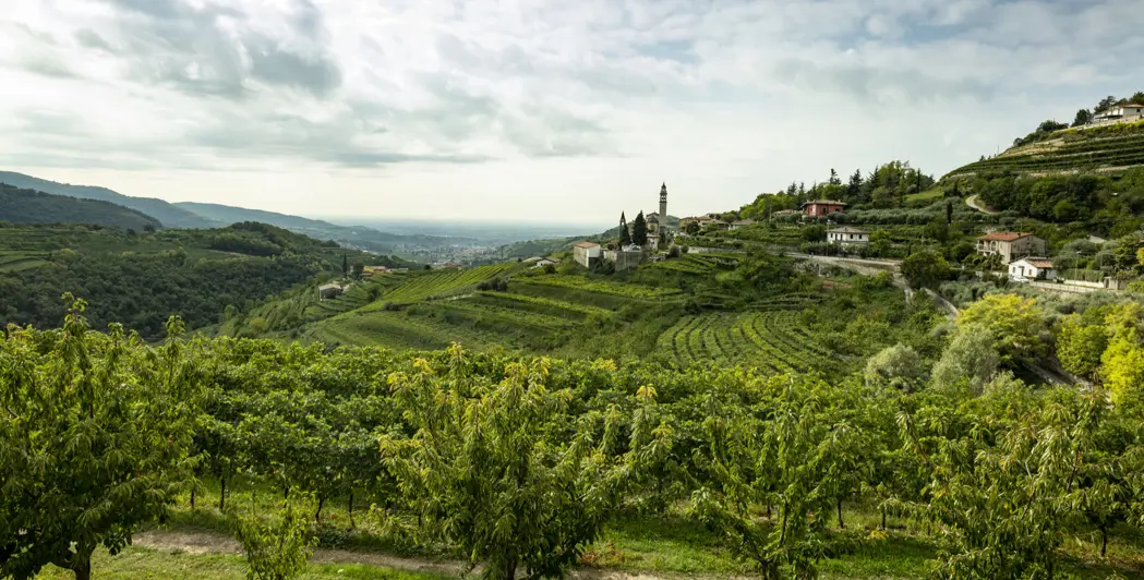 Cantina Bolla