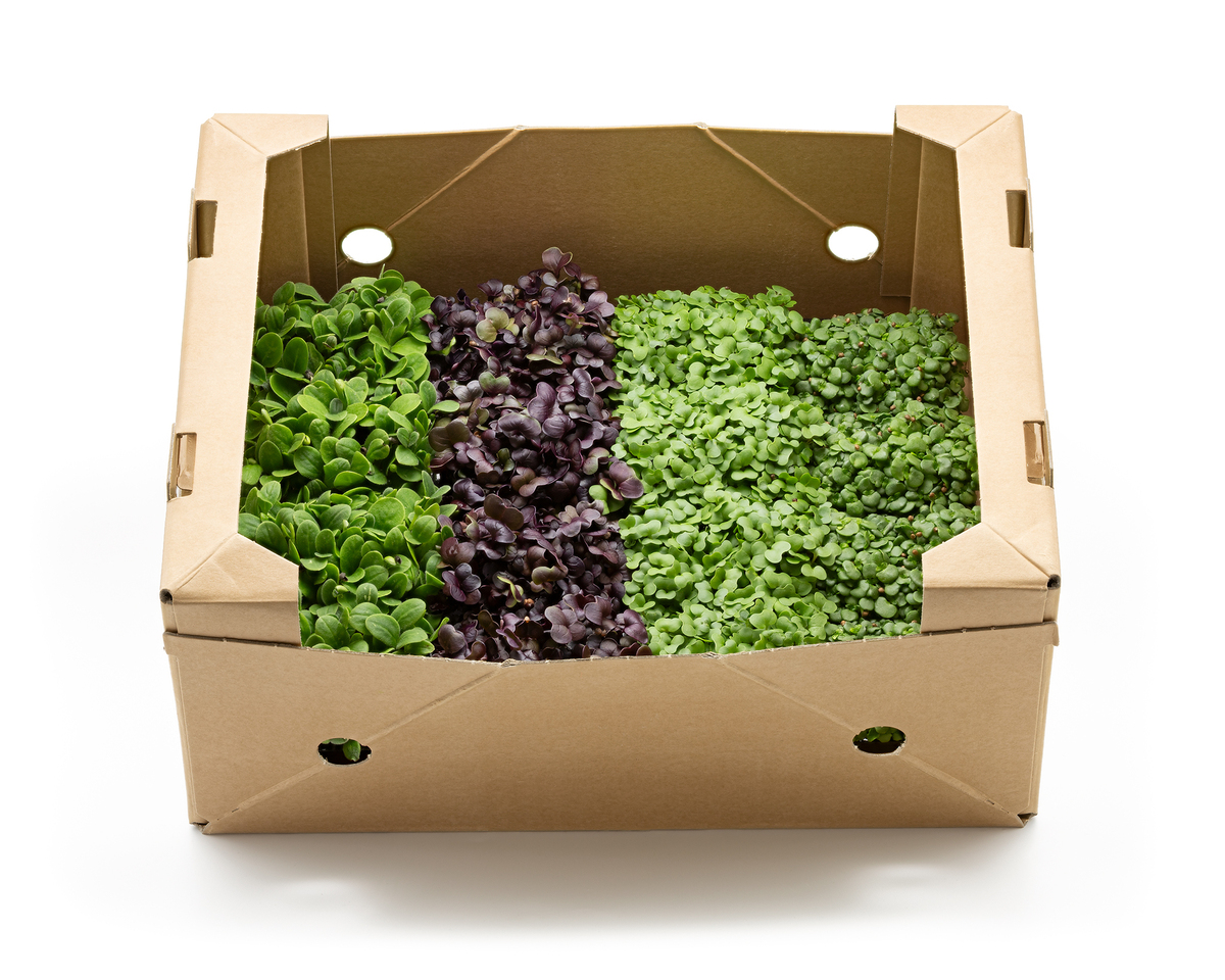 Vaxa Blanda Sprettur 16 stk