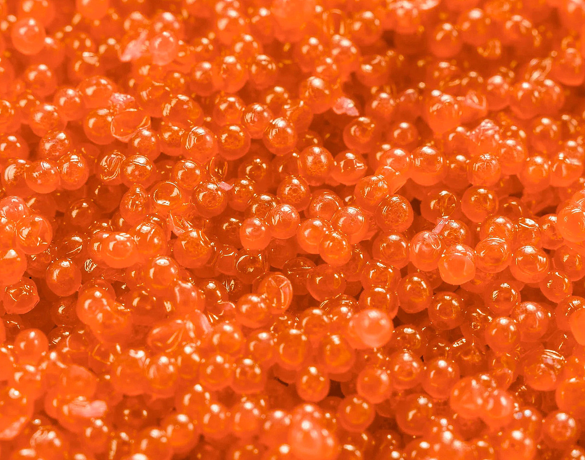 Masago Orange 12x500gr