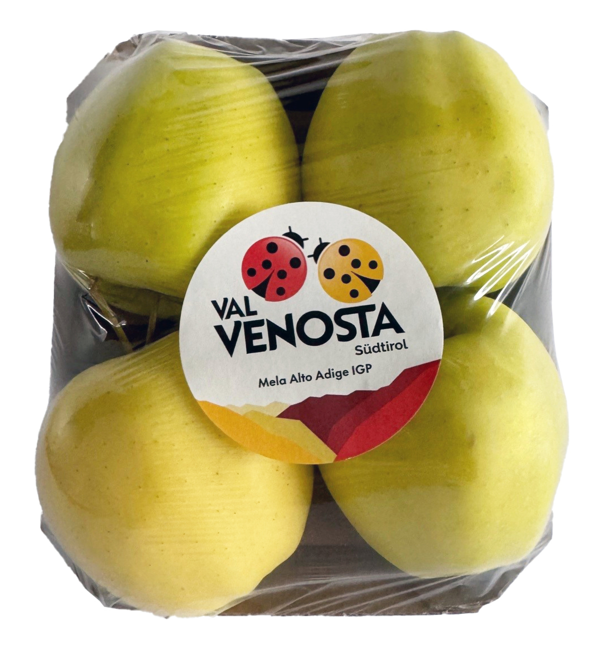 Epli Gul 14x4stk Venosta