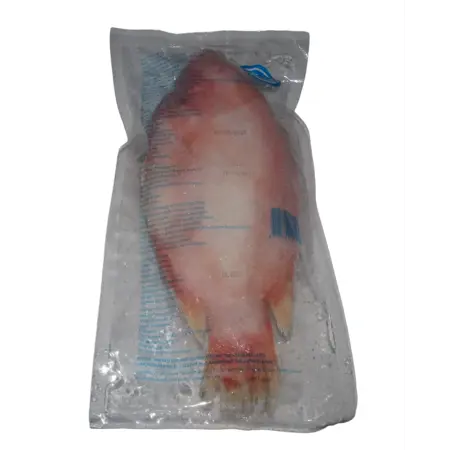 Tilapia Rauð heil +750 gr - Innnes heildverslun