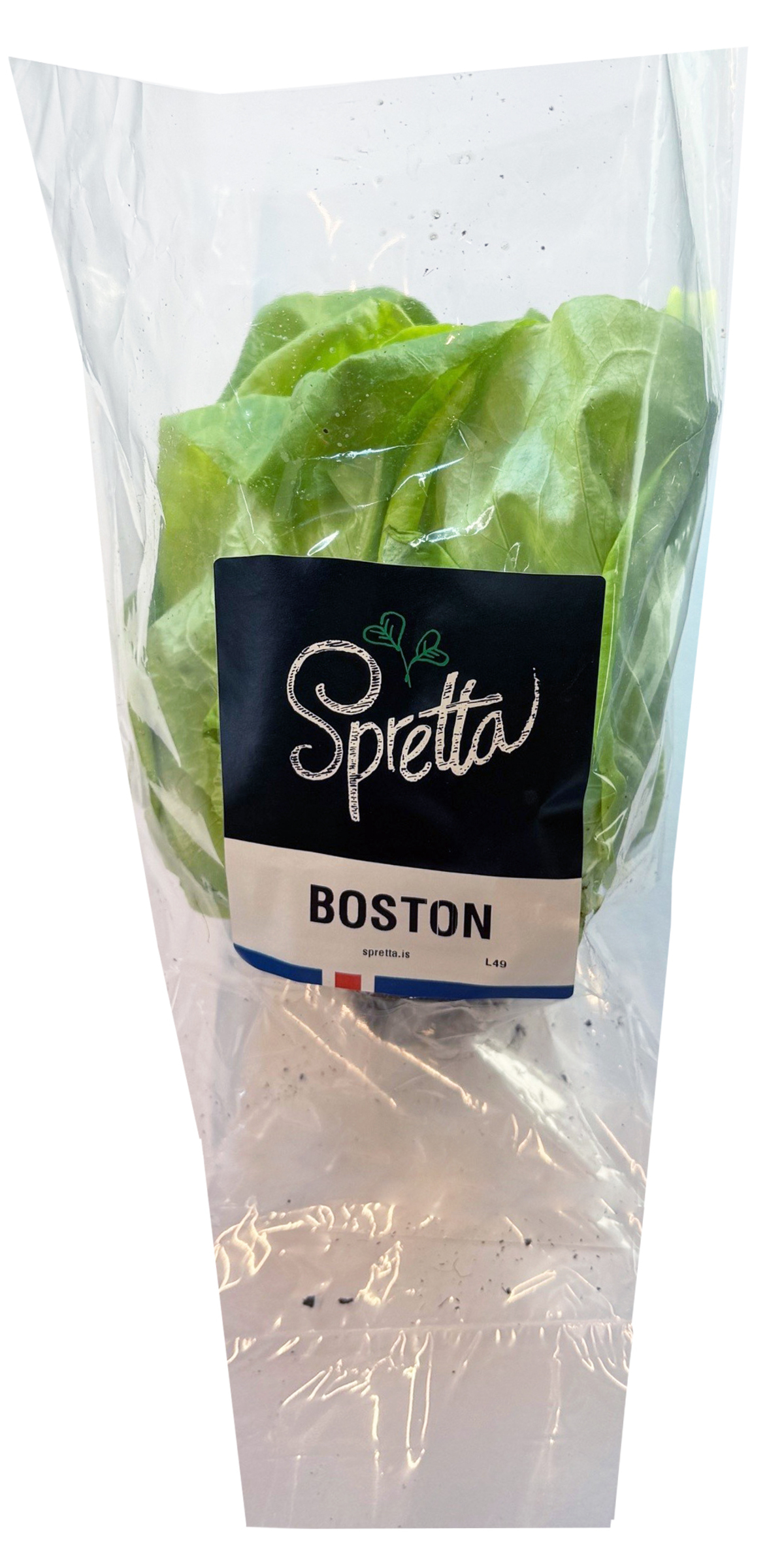 Salöt