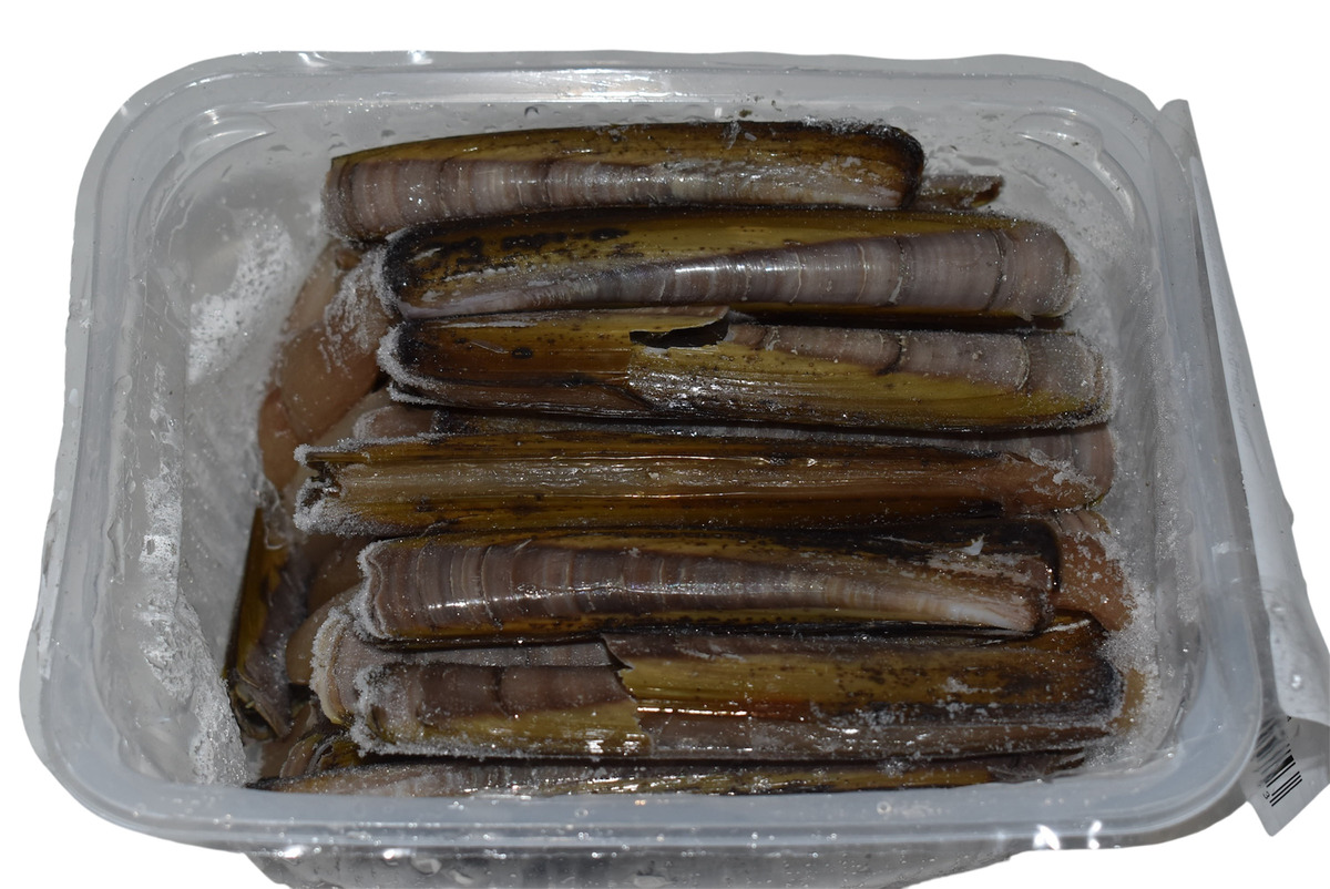 Hörpuskel stór 10/20 10x400gr NET