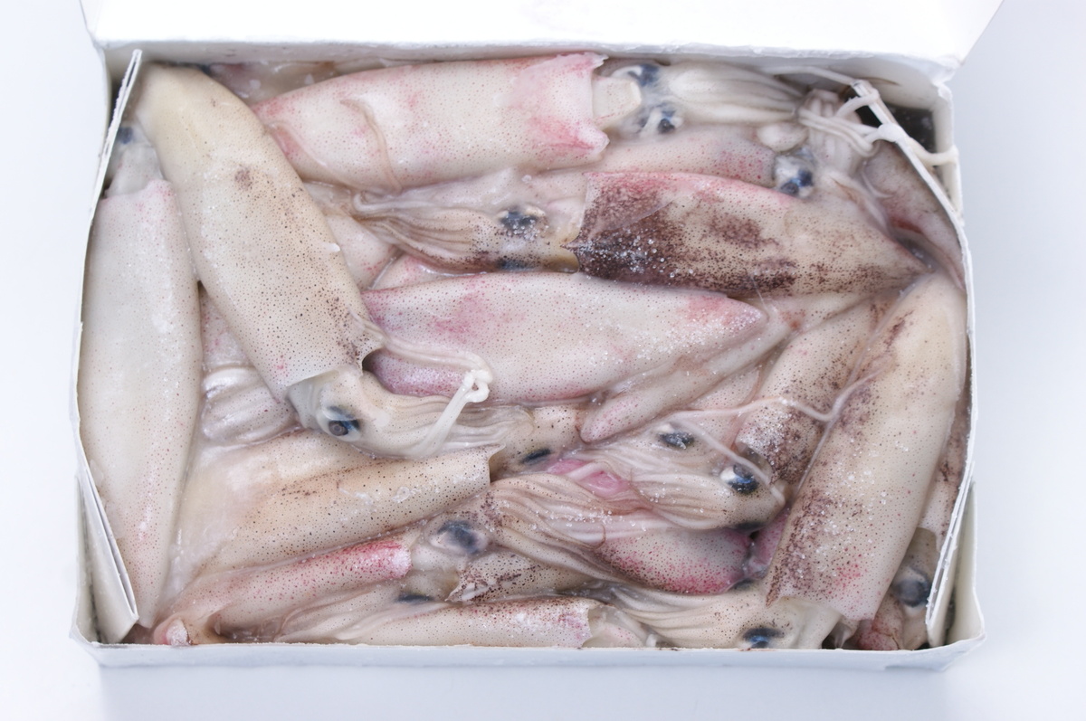 Smokkfiskur Heill California 12x1kg