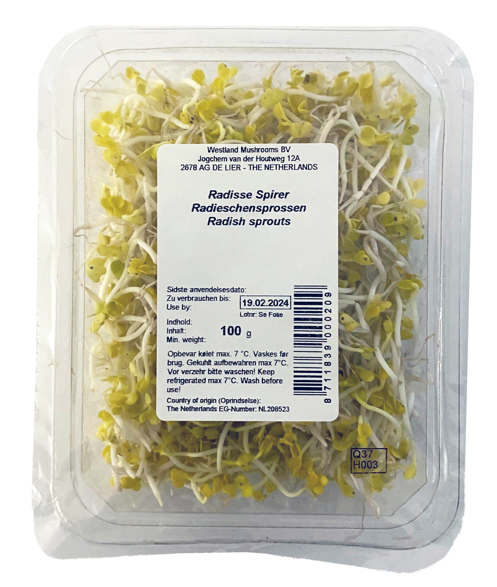 Radísuspírur erl. 8x100 gr