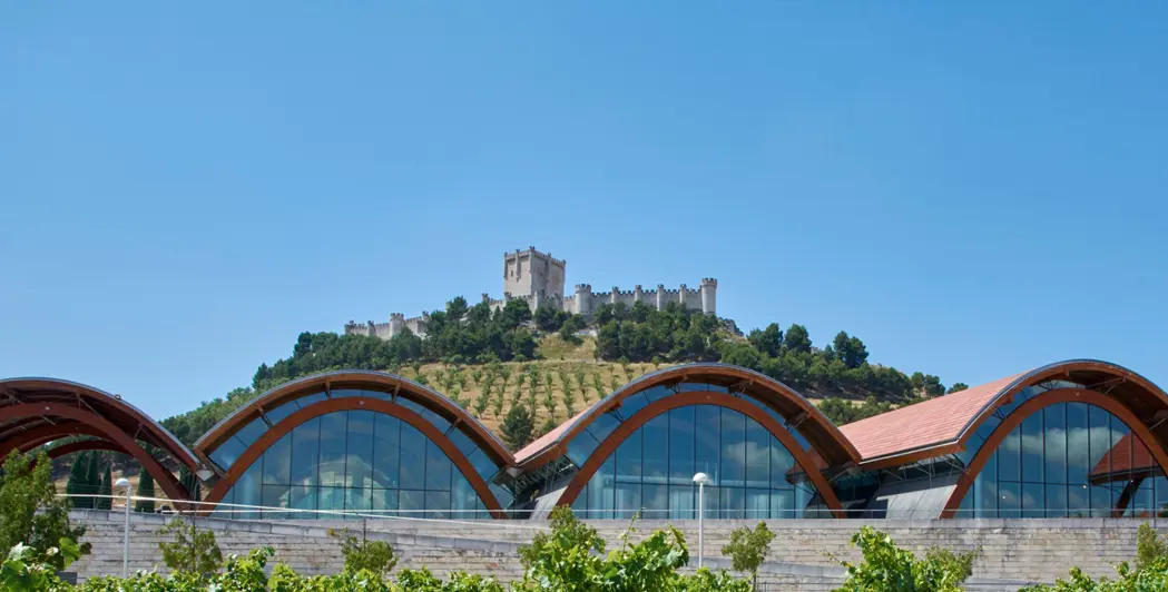 Protos Bodega