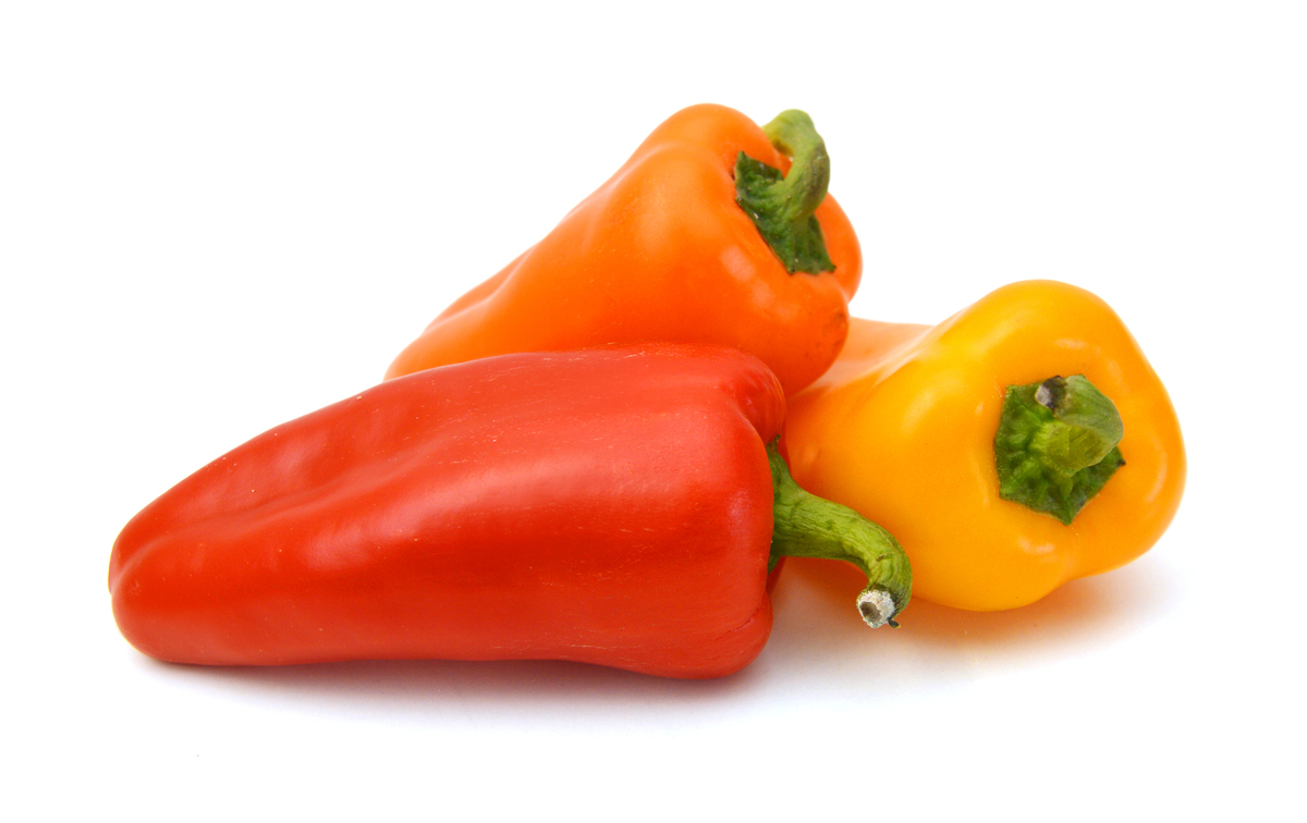 Sæt Mini Paprika 8x400gr