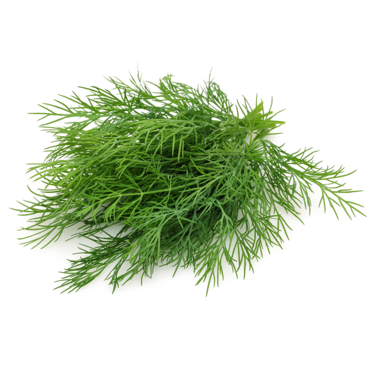 Vaxa Dill 6x200g