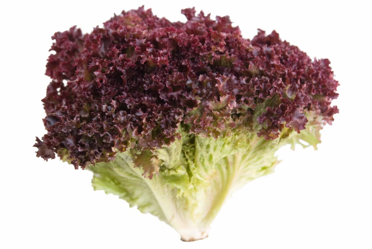 Salöt