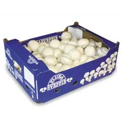 Sveppir Flúða í lausu kg/ks SFG