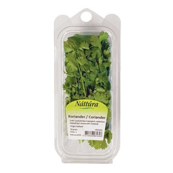 Náttúra Koriander(cilantro)30g