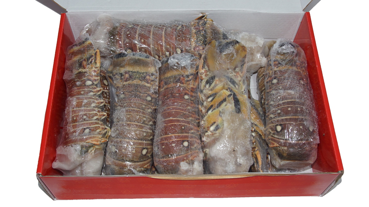 Humarhalar Rock Lobster 4,54kg
