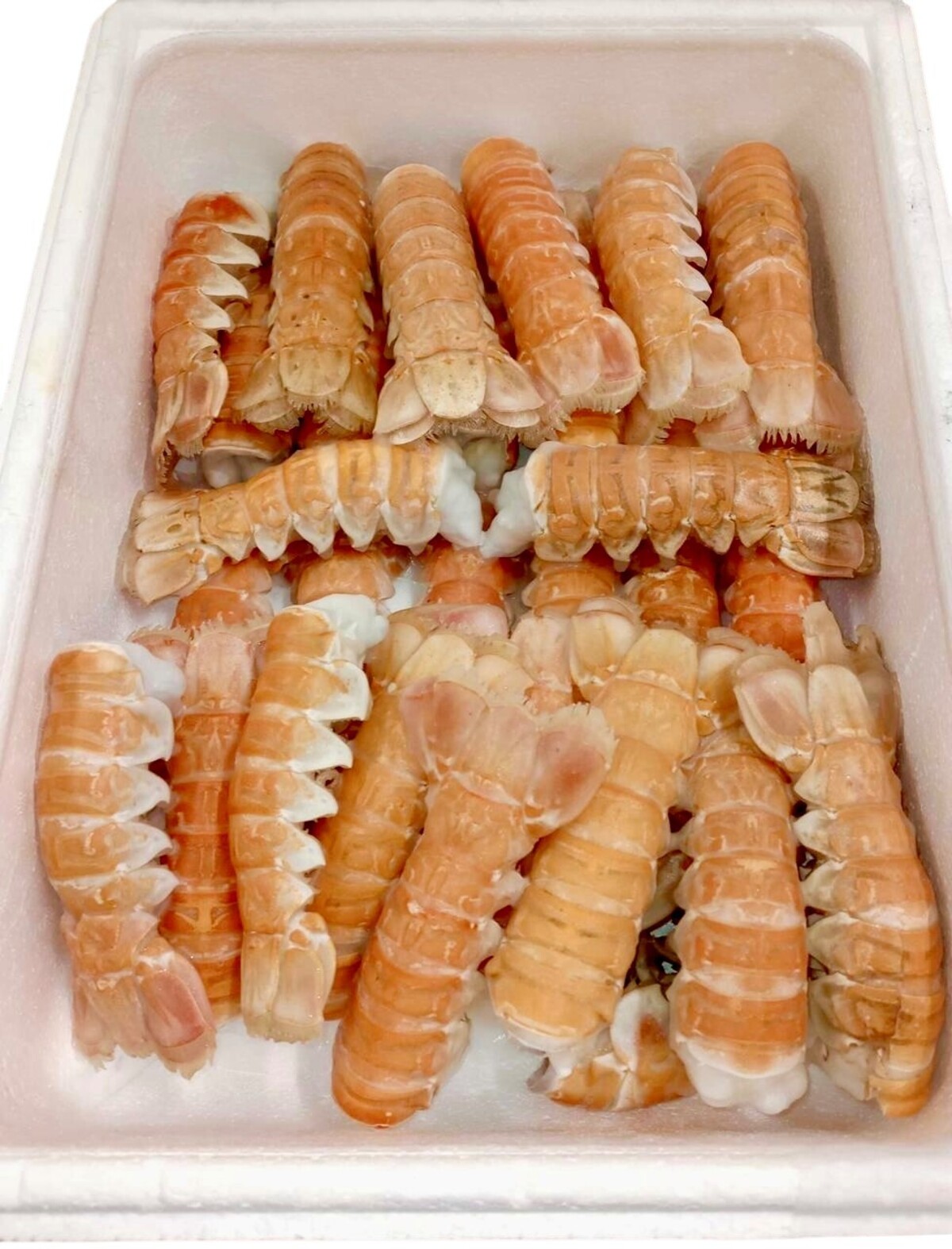 Humarhalar stórir 8/12  2 kg/askja