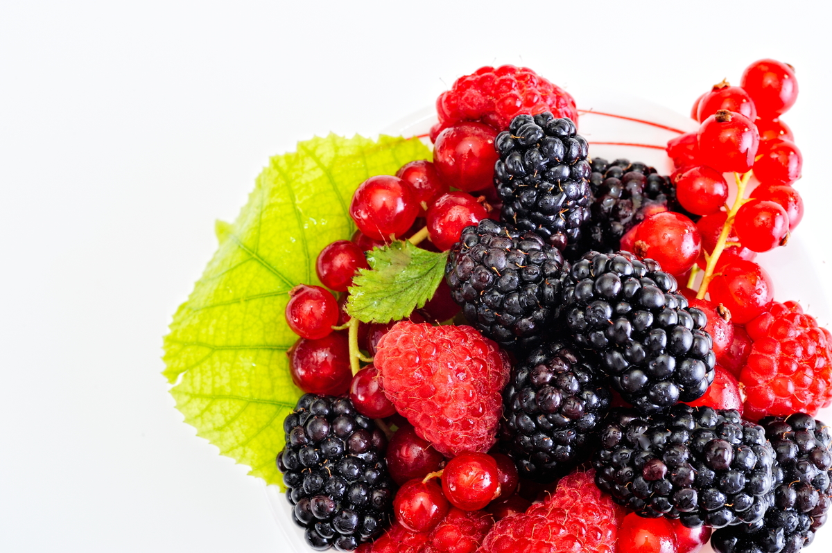 Begro Skógarberjablanda 4x2,5kg