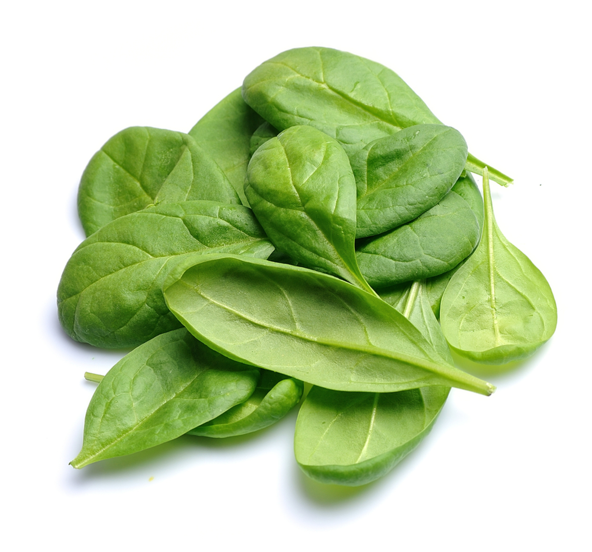 Salat Mesclun baby 8x125g